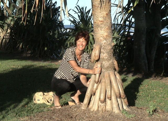 Albero con radici a forma di pisello